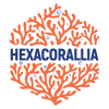 Hexacorallia