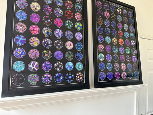 Zoanthid Coral Poster Collection Vol. 1–5 – 24x36 Research-Grade Prints