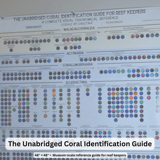 The Unabridged Coral Identification Guide for Reef Keepers | Visual Taxonomy Reference