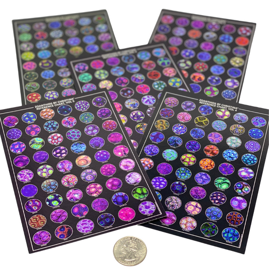 Zoanthid Coral Reference Quick Guide Vol. 1–5 – Pocket Size 4"x6" Edition