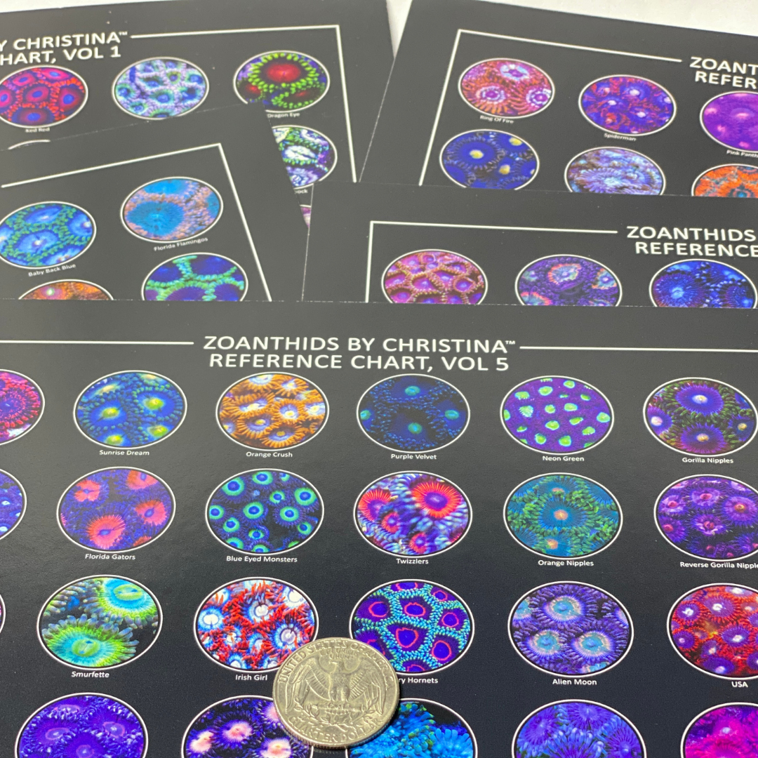 Zoanthid Coral Reference Quick Guide Vol. 1–5 | Pocket Cards