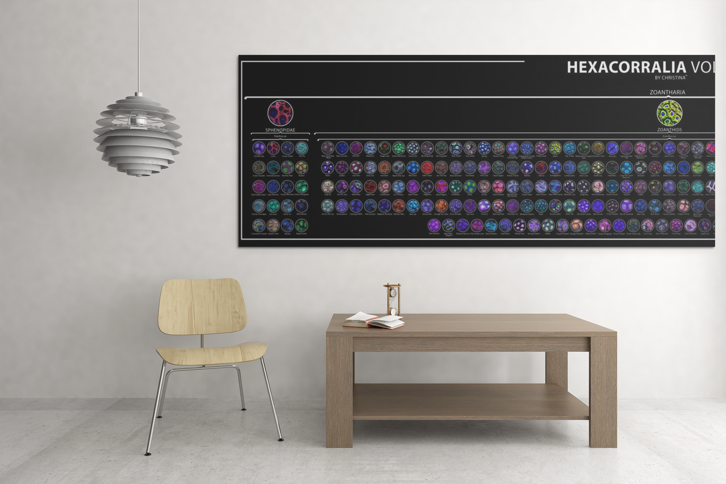 Hexacorallia by Christina – 650+ HD Coral Images | Visual Taxonomy Guide for Scientists & Reefkeepers