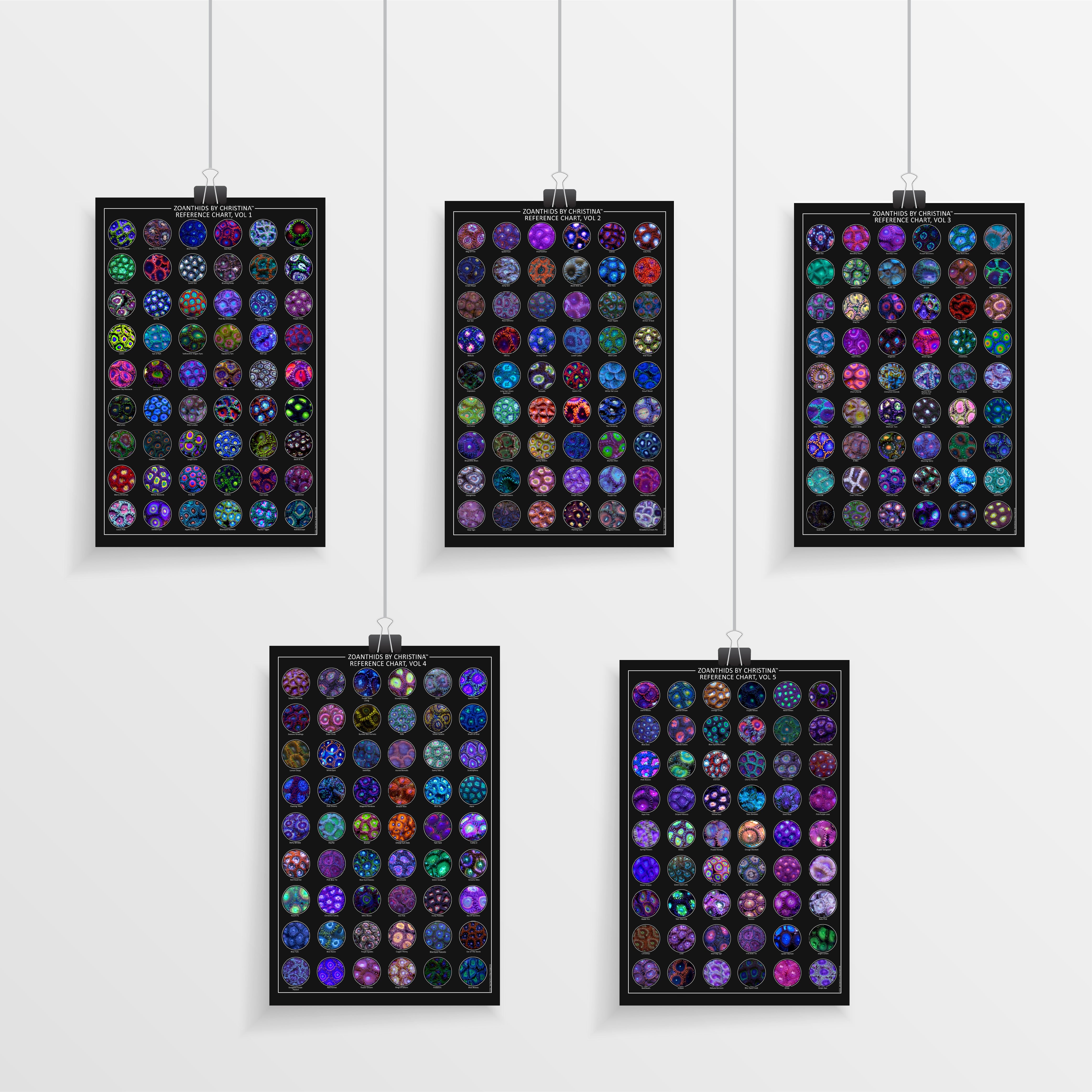 Coral プロフィール必読 プロフ必読。 プロフ必読 M♡プロフ必読 専用 M＊プロフィール必読さま