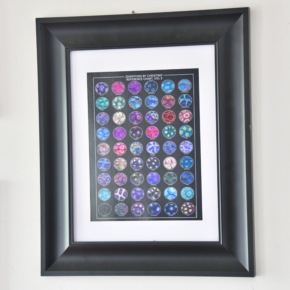 Zoanthid Coral Reference Quick Guide Vol. 1–5 – Standard 8.5x11 Edition