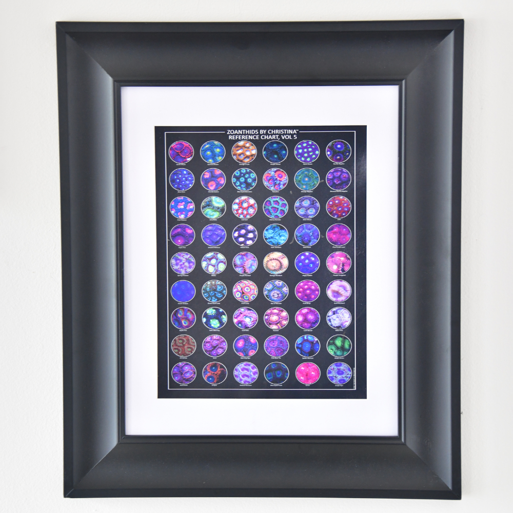 Zoanthid Coral Reference Quick Guide Vol. 1–5 – Standard 8.5x11 Edition