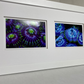 Zoanthids by Christina™ — Macro Print Set of 10 (10" × 8") | Ocean Wall Decor